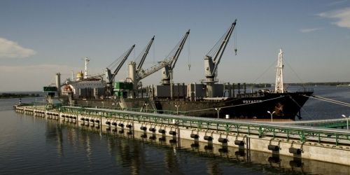 Bulk Terminal 