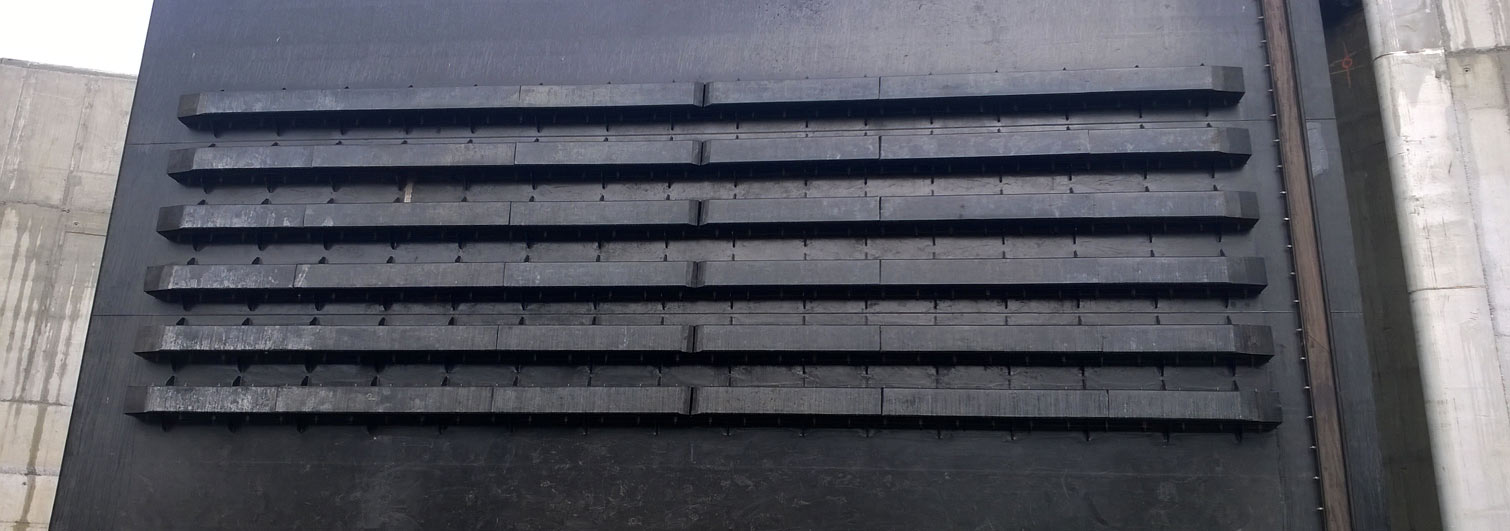 Shibata Fender Team